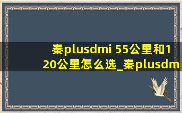 秦plusdmi 55公里和120公里怎么选_秦plusdmi 55公里可以加电池吗